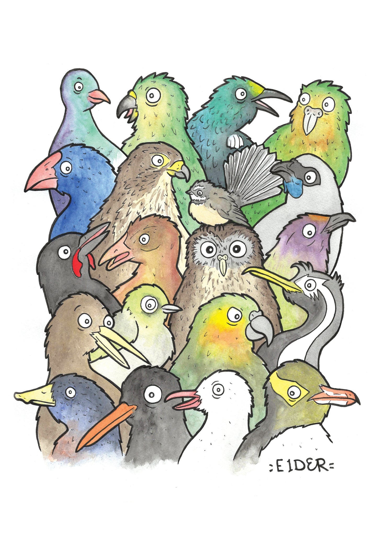Birds of Aotearoa (NZ) image 0