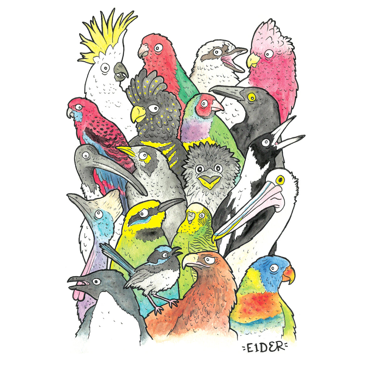 Birds of Australia image 0